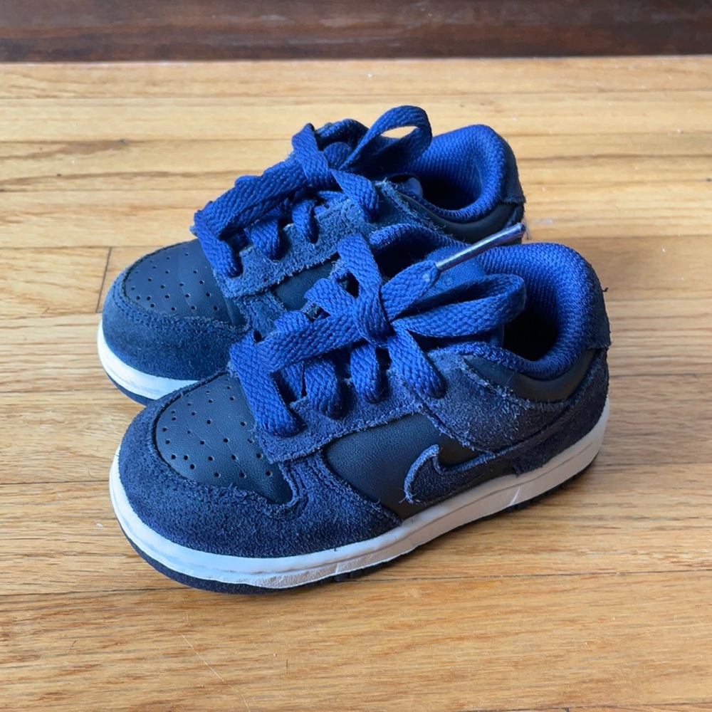 Toddler Nike Dunk Low 2016